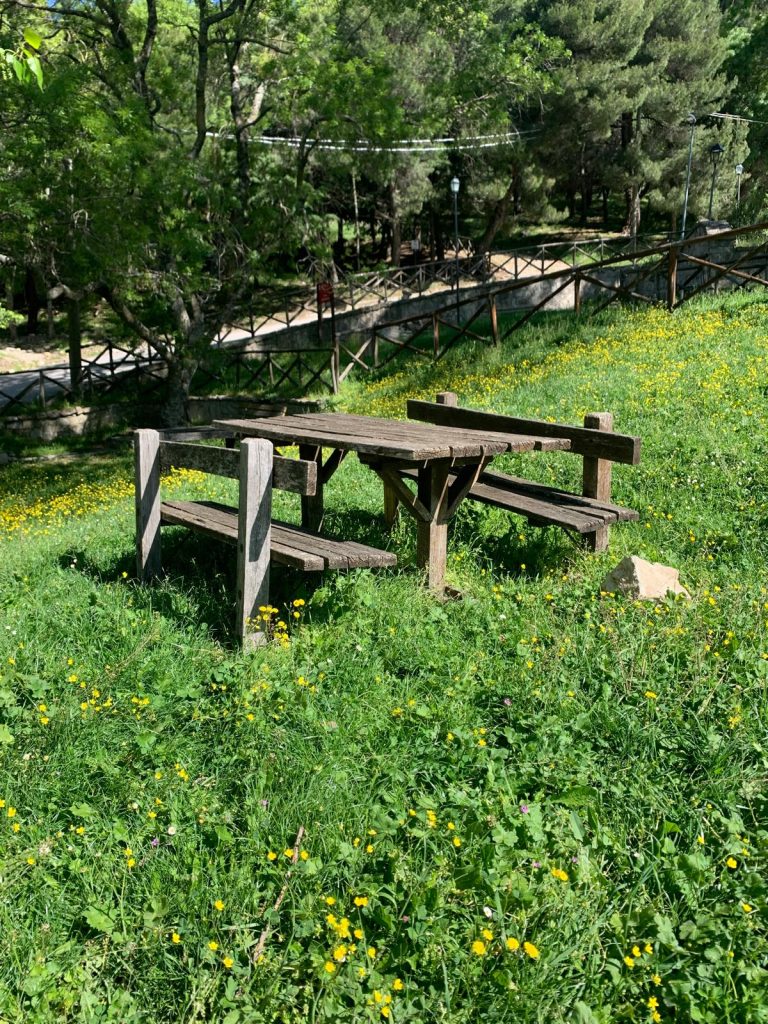 panca del Bosco Petera