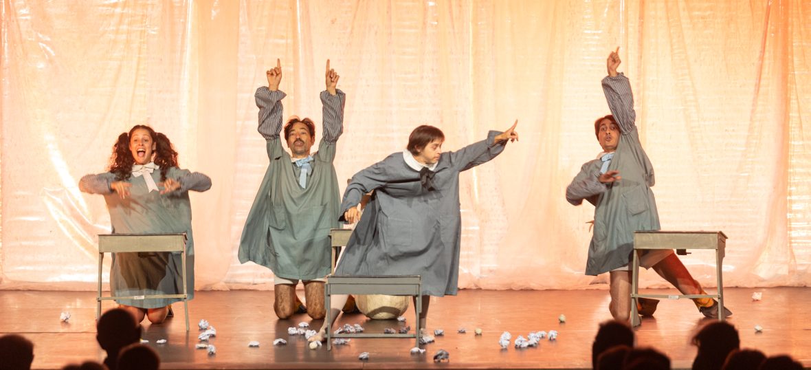 DIARIO DI UN BRUTTO ANATROCCOLO