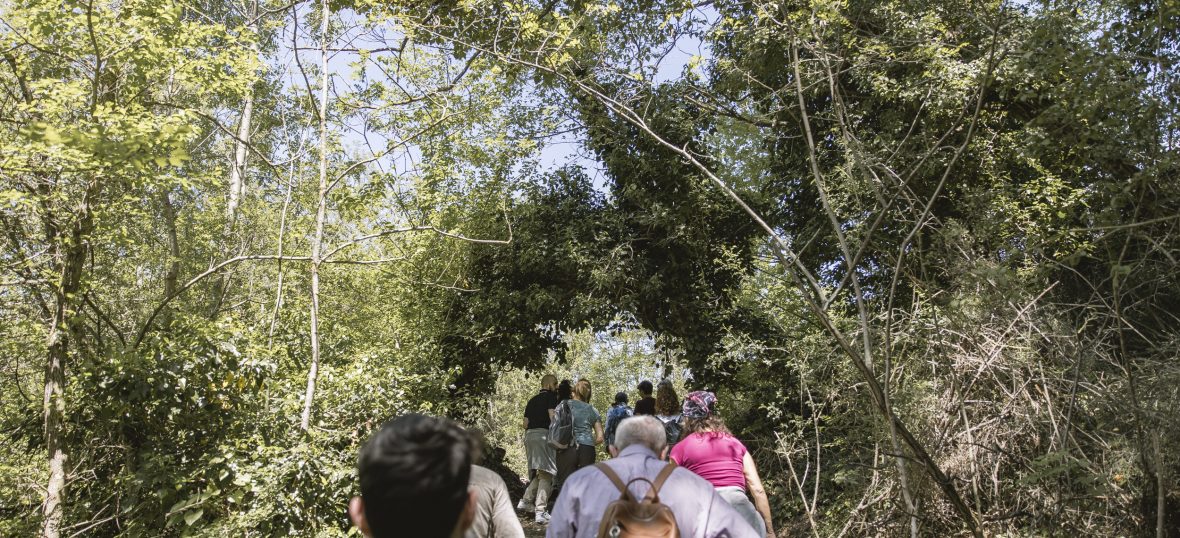 Passeggiata nel bosco